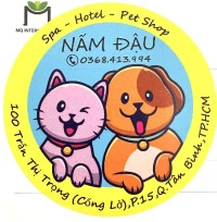 In Sticker Decal Nhựa TPHCM