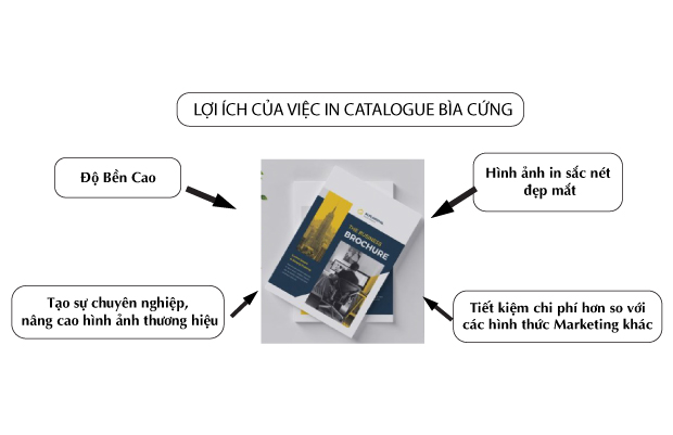 LỢI ÍCH CỦA VIỆC IN CATALOGUE BÌA CỨNG