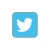 Twitter Print Fast