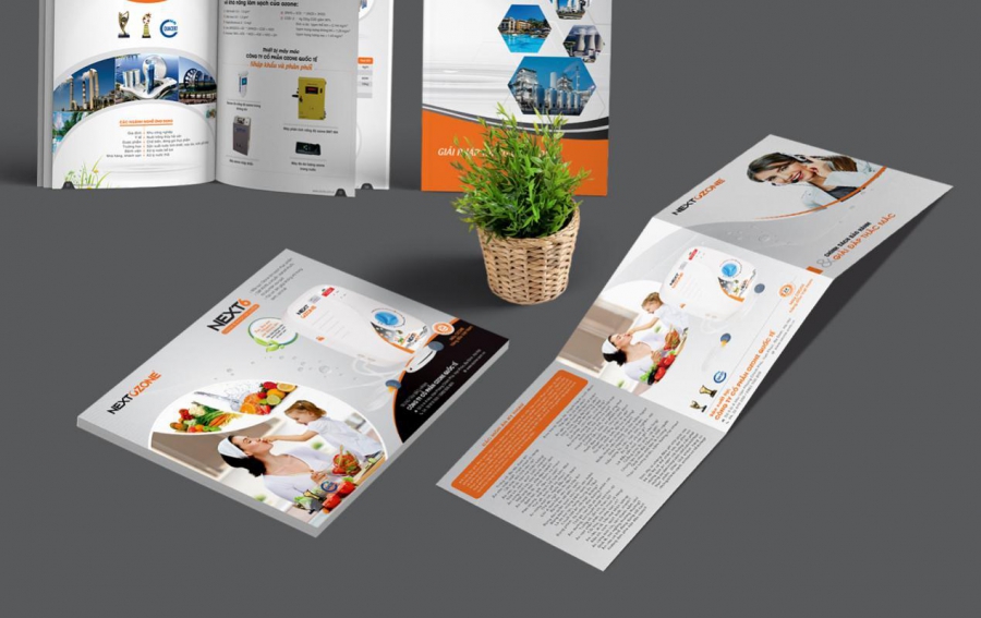 Dịch vụ In brochure