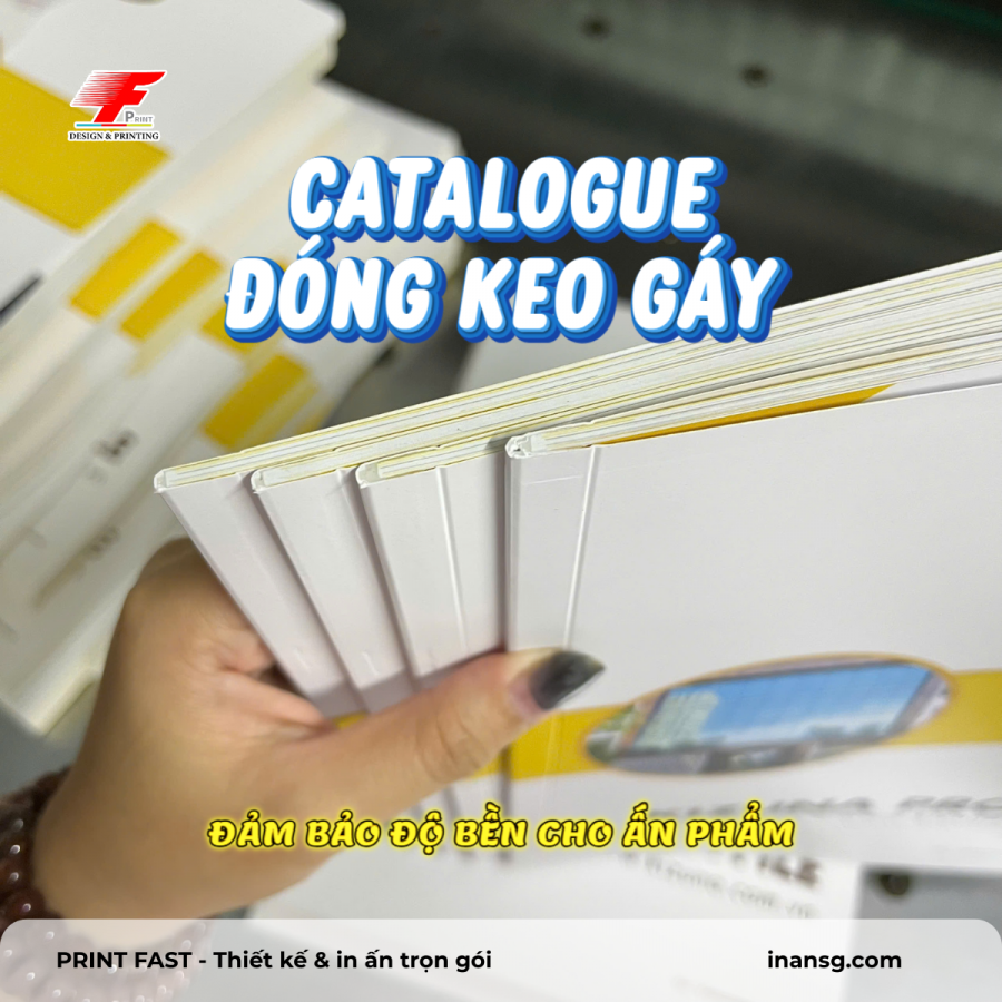 Cận cảnh phần gáy vuông của catalogue được ép keo nhiệt chắc chắn, các đường cấn sắc nét giúp lật mở dễ dàng.