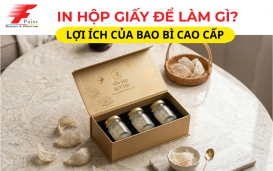 In Hộp Giấy Để Làm Gì? Lợi Ích Của Bao Bì Cao Cấp