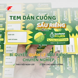 IN TEM DÁN CUỐNG SẦU RIÊNG GIÁ XƯỞNG