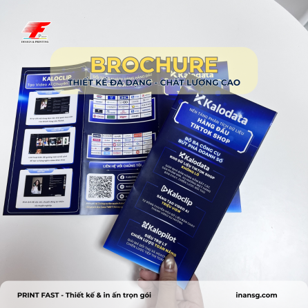 In Brochure Cho Doanh Nghiệp, In Tờ Gấp Đẹp TPHCM